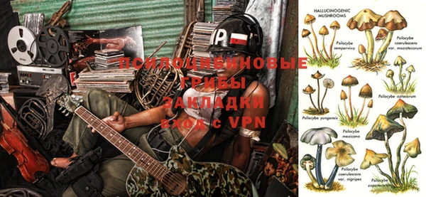 2c-b Пролетарск