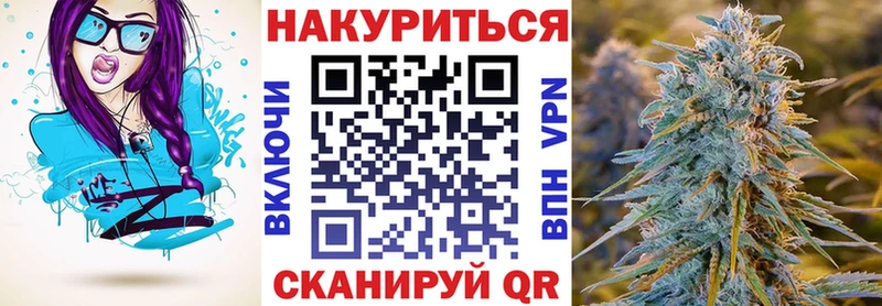 Канабис сатива  Купить где  Ессентукская 